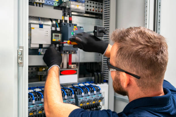 Best Electrician for Home Renovation  in Randolph, WI