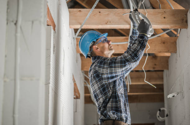 Best Electric Panel Repair  in Randolph, WI
